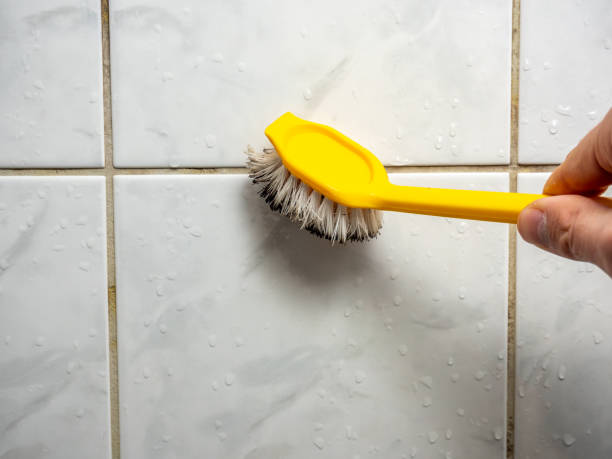 Best Mold Remediation  in Hawthorne, NY