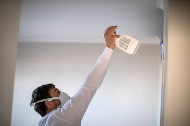 Best Toxic Mold Removal  in Hawthorne, NY