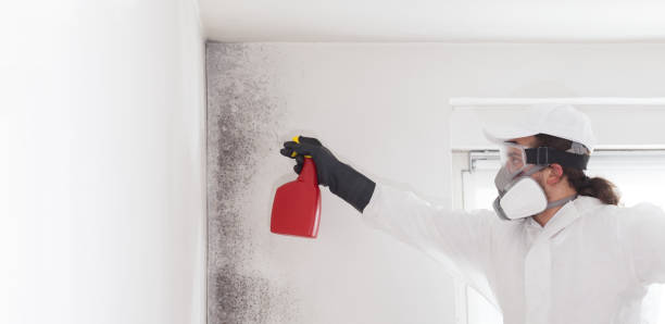 Best Office Mold Removal Services  in Hawthorne, NY