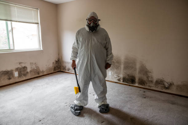 Professional Mold Removal in Hawthorne, NY